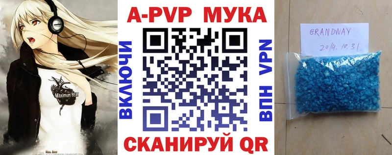 А ПВП СК Шенкурск