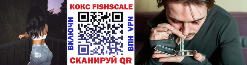 Кокаин FishScale Шенкурск