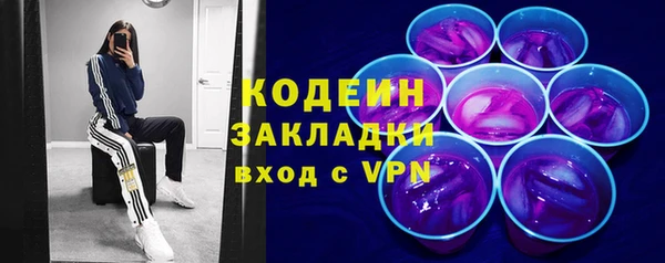 шишки Абаза