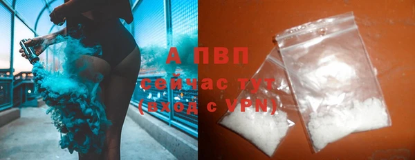 шишки Абаза