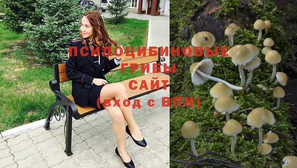 гидропоника Алзамай