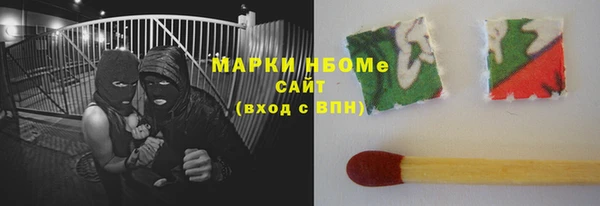 шишки Абаза