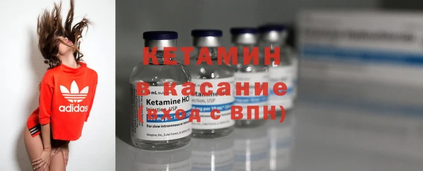 шишки Абаза