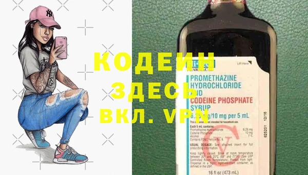 шишки Абаза