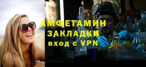 шишки Абаза